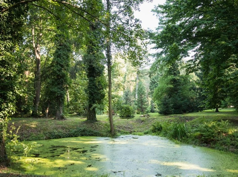 Csácsbozsoki arborétum, Zalaegerszeg, Hungary, Hungary